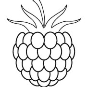 Berry Coloring Pages