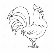 Cock Coloring Pages