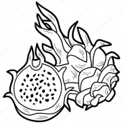 Dragon Fruit Coloring Pages