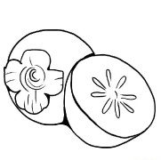 Persimmon Coloring Pages