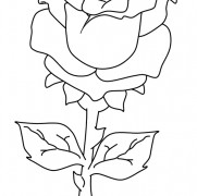 Roses Flower Coloring Page
