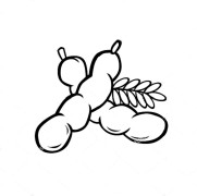 Tamarind Coloring Pages